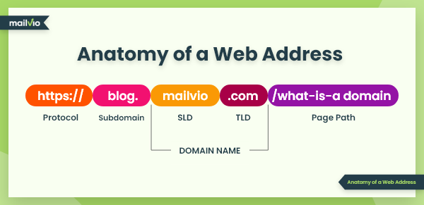 The anatomy of a web address and a domain name