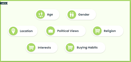 social media demographics